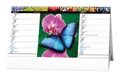 Tischkalender - Bunte Welt