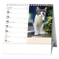 Weiteres Produktbild Tischkalender - IDEÁL - Katzen /mit Katzennamen/