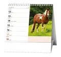 Tischkalender - IDEÁL - Pferde