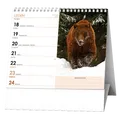 Weiteres Produktbild Tischkalender - IDEÁL - Tiere der ganzen Welt