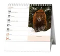 Tischkalender - IDEÁL - Tiere der ganzen Welt