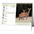 Weiteres Produktbild Tischkalender - Jägerische Wanderungen