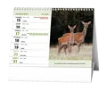 Tischkalender - Jägerische Wanderungen