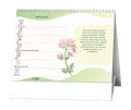 Tischkalender - Vitamine und Mineralstoffe