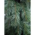 Weiteres Produktbild Luftballon schwarz durchmesser 25cm `M` [100 St.]