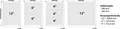 Tabellenpapier, 382 mm, 12 Zoll, 1-lagig, VICTORIA