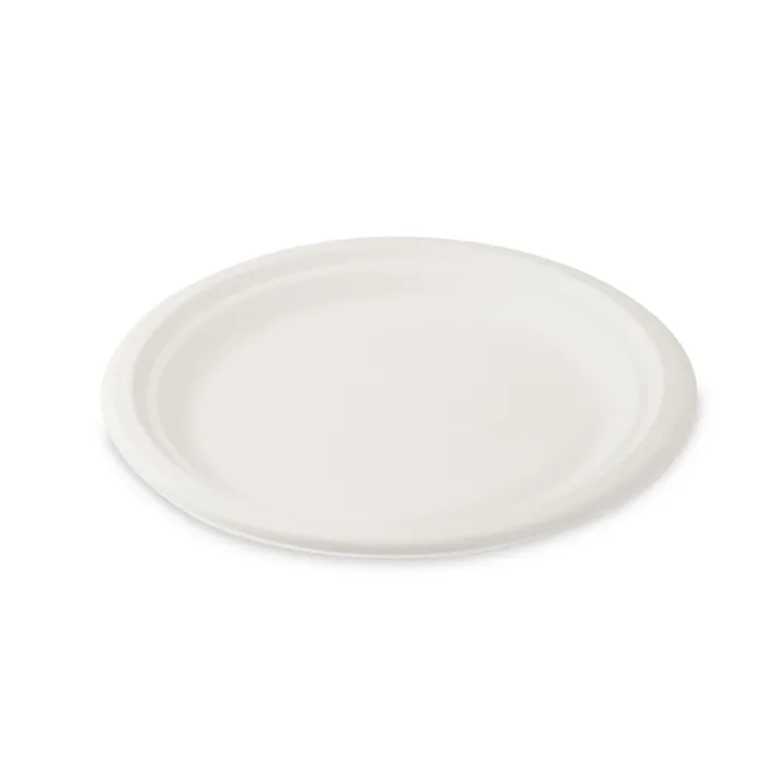Hauptbild des Produkts Talíř kulatý BIO cukrová třtina průměr 22 cm [10 ks]
