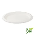Teller Zuckerrohr-Bagasse oval 26 x 20 cm [50 St.]