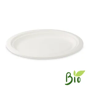 Teller Zuckerrohr-Bagasse oval 26 x 20 cm [50 St.]