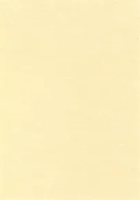 Strukturpapier, Pergamenteffekt, Champagner, A4, 95 g, APLI [100 Blatt]