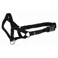 Weiteres Produktbild TOP TRAINER Trainingshalfter S 22cm TRIXIE