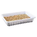 Weiteres Produktbild Gras für Nagetiere in einer Schüssel 100 g TRIXIE