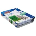 Weiteres Produktbild Gras für Katzen in einer Schüssel 100g TRIXIE