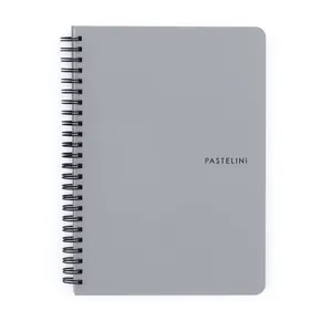 Zwillingsdrahtblock A5 PP PASTELINI grau