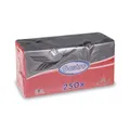 Serviette 2-lagig rot 24 x 24 cm [250 St.]