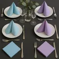 Serviette (PAP FSC Mix) 3-lagig hellblau 40 x 40 cm [250 St.]