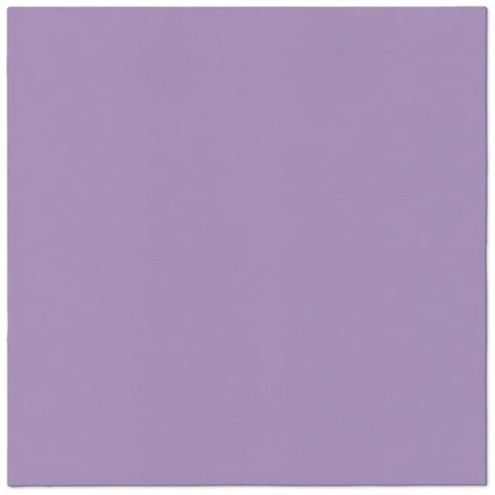 Hauptbild des Produkts Ubrousky PAW AIRLAID 40x40 cm Monocolor Violet [50 ks]