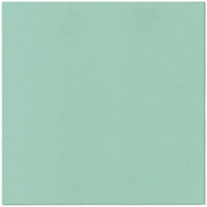 Hauptbild des Produkts Ubrousky PAW AIRLAID L 40x40cm Monocolor (light mint) [50 ks]