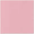Servietten PAW AIRLAID L 40x40cm Monocolor (helles Tau) [50 Stück]
