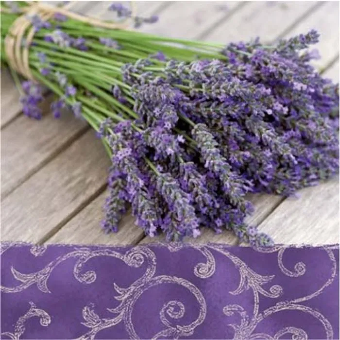 Hauptbild des Produkts Ubrousky PAW L 33x33 cm Lavender in the Country