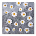 Weiteres Produktbild Ubrousky PAW L 33x33cm Daisies Love