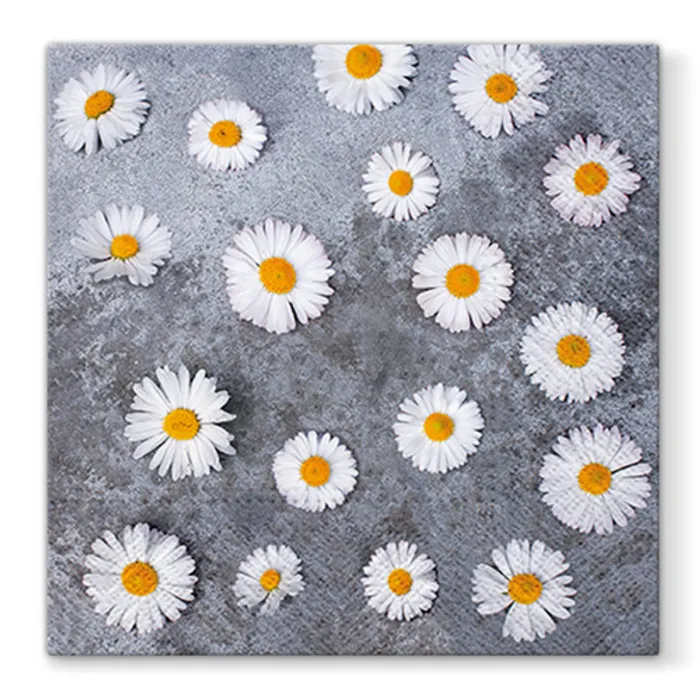 Hauptbild des Produkts Ubrousky PAW L 33x33cm Daisies Love