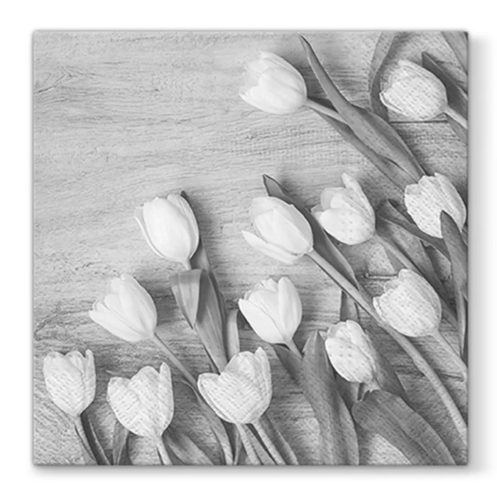 Hauptbild des Produkts Ubrousky PAW L 33X33cm White Tulips