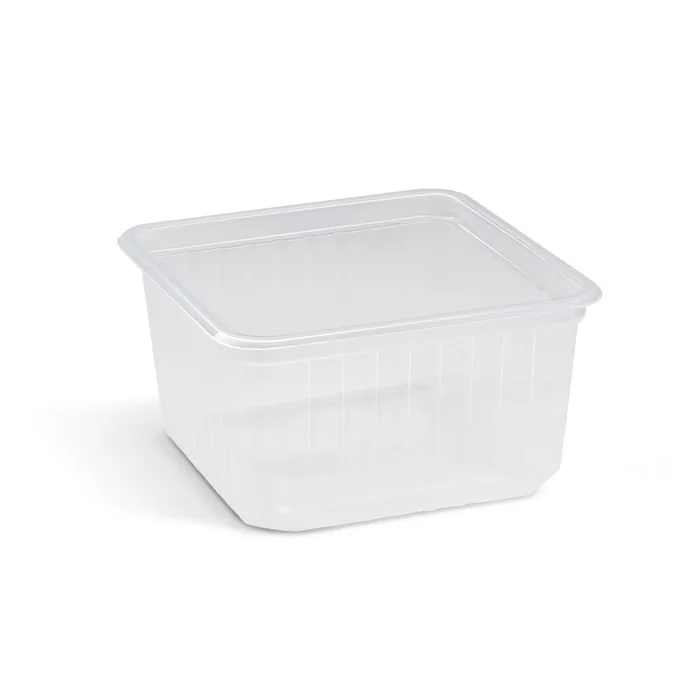 Hauptbild des Produkts Vanička (PP) Quadroboxx průhledná 115 x 115 x 61 mm 500ml [50 ks]