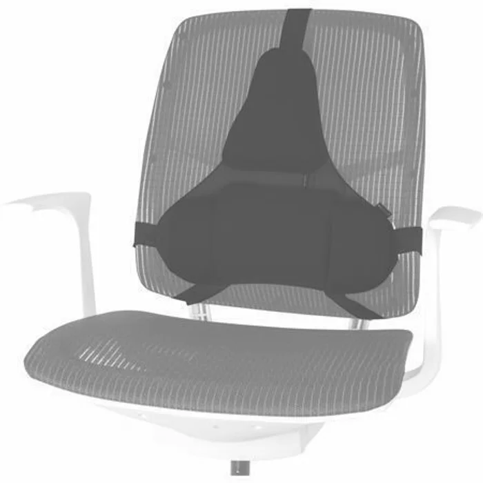 Hauptbild des Produkts Zádová opěrka Profesional, opora beder, černá, plast, Fellowes