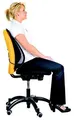 Rückenlehne Profesional, Speicherschaum, schwarz, Fellowes