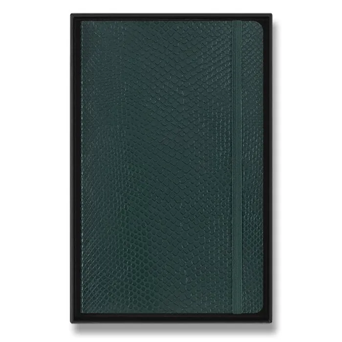 Hauptbild des Produkts Zápisník Moleskine Precious & Ethical Vegea Boa - měkké desky L, linkovaný, zelený