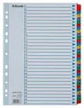 Verstärkter Karton registriert Esselte Mylar, A4, Farbmix