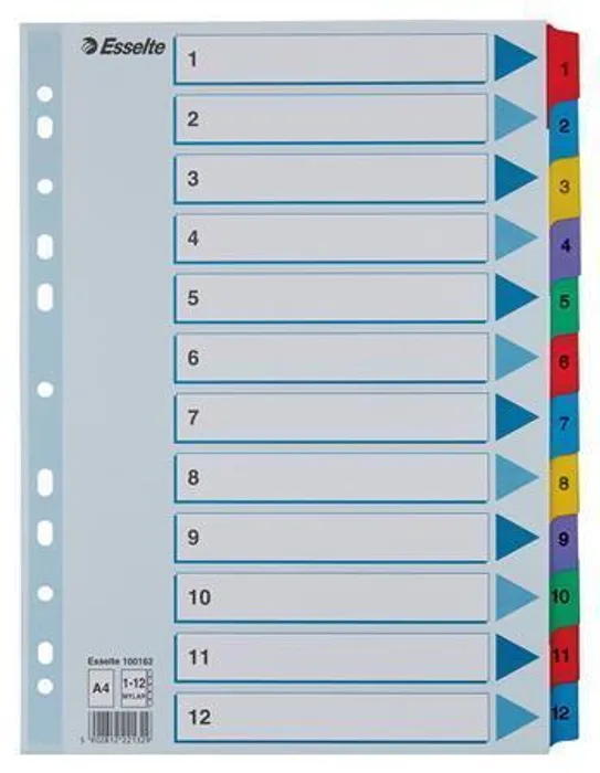 Hauptbild des Produkts Zesílené kartonové rejstříky Esselte Mylar, A4, Mix barev