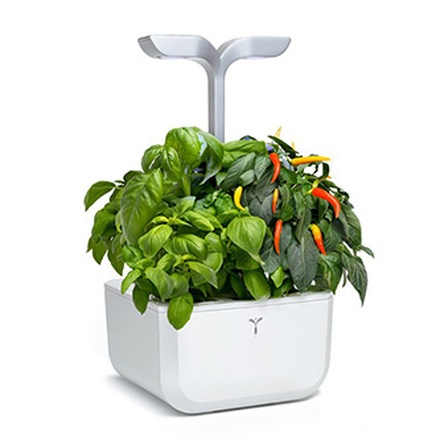 Papírenské zboží - Chytrý květináč Exky Smart, bílý, s náplní 2ks, Véritable