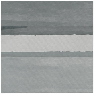 Papírenské zboží - Ubrousky PAW AIRLAID 40x40 cm Fluid grey [50 ks]
