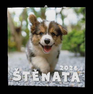 Papírenské zboží - Nástěnný kalendář - Štěňata