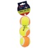 Papírenské zboží - Tennisball 6,5 cm (3 Stück in einer Packung.) HIPHOP DOG