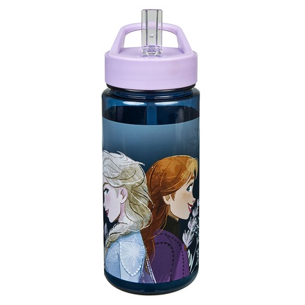 Papírenské zboží - Láhev na pití Frozen