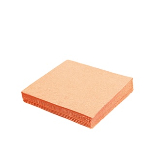 Papírenské zboží - Ubrousky 2-vrstvé, 24 x 24 cm apricot [250 ks]