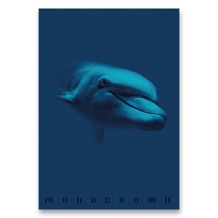 Papírenské zboží - Školní sešit Monocromo Blue A4, linkovaný, 40 listů, mix motivů