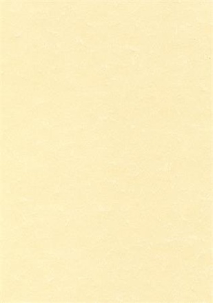 Papírenské zboží - Texturovaný papír, pergamenový efekt, šampaň, A4, 95g, APLI [100 listů]