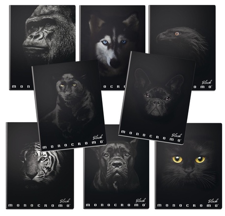 Papírenské zboží - Školní sešit Pigna Monocromo Black A4, linkovaný, 40 listů, mix motivů