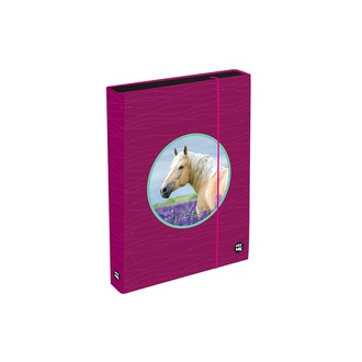 Papírenské zboží - Box na sešity A4 Jumbo OXY Sherpy Pink