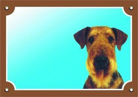 Papírenské zboží - Barevná cedulka Pozor pes, Erdelterier 