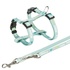 Papírenské zboží - JUNIOR Geschirr mit Leine für Welpen, mint M-L: 27-45 cm/10 mm, 2,00 m