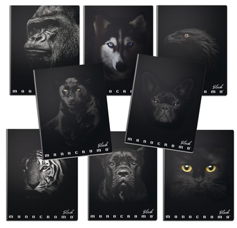Papírenské zboží - Školní sešit Pigna Monocromo Black A4, linkovaný, 40 listů, mix motivů
