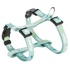 Papírenské zboží - JUNIOR Geschirr mit Leine für Welpen, mint M-L: 27-45 cm/10 mm, 2,00 m