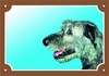 Papírenské zboží - Farbschild Achtung Hund, Irischer Wolfshund