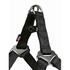 Papírenské zboží - PREMIUM-Geschirr – schwarz XS-S: Brustumfang: 30–40 cm/10 mm