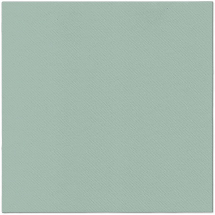 Papírenské zboží - Ubrousky PAW AIRLAID 40x40 cm Monocolor Light Green [50 ks]
